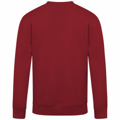 Arizona Diamondbacks Levelwear Zane Banner Arch Sweatshirt - Red - MLB Sale
