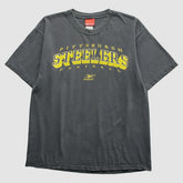 Fanatics Pittsburgh Steelers Reebok 2000s T-Shirt Gray Vintage
