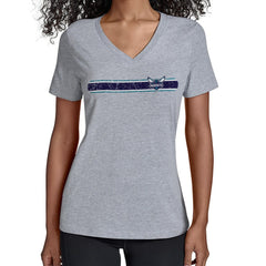 Charlotte Hornets Starter Women's Team Stripe V-Neck T-Shirt Gray