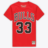 Scottie Pippen Chicago Bulls Unisex Hardwood Classics Name & Number T-Shirt for sale Red | Mitchell & Ness outlet
