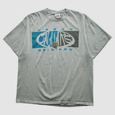 Fanatics Jacksonville Jaguars Lee Apparel 2000s T-shirt Heather Gray Vintage