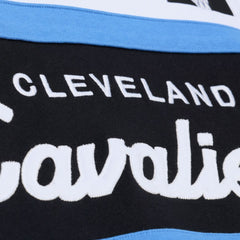 Cleveland Cavaliers Head Coach Hoodie for sale Black | Mitchell & Ness online