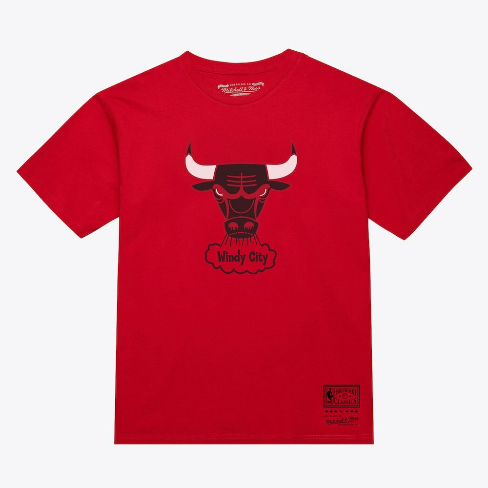 Chicago Bulls Unisex Hardwood Classics Arch T-Shirt for sale Red | Mitchell & Ness Near Me