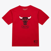 Chicago Bulls Unisex Hardwood Classics Arch T-Shirt for sale Red | Mitchell & Ness Near Me