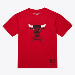 Chicago Bulls Unisex Hardwood Classics Arch T-Shirt for sale Red | Mitchell & Ness Near Me