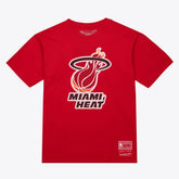 Miami Heat Unisex Hardwood Classics Arch T-Shirt Red | Mitchell & Ness for sale