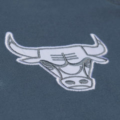 Chicago Bulls Thunderstorm T-Shirt for sale Blue | Mitchell & Ness Lifestyle