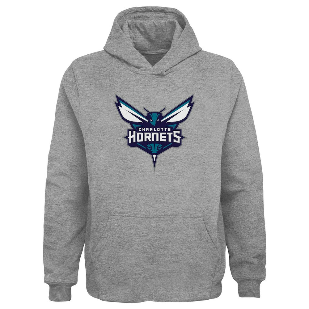 Charlotte Hornets Outerstuff Youth Primary Logo Pullover Hoodie Gray