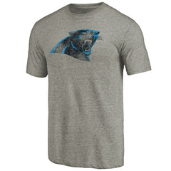 Carolina Panthers Distressed Team T-Shirt Ash