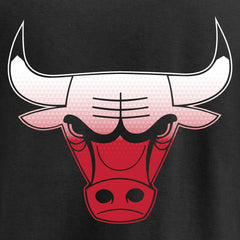 Chicago Bulls Gradient Logo Pullover Hoodie Black