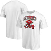 San Francisco 49ers Artifact T-Shirt White