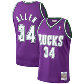 Ray Allen Milwaukee Bucks 2000/01 Hardwood Classics Swingman Jersey Purple | Mitchell & Ness for sale