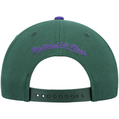 Milwaukee Bucks Hardwood Classics Team Two-Tone 2.0 Snapback Hat Green/Purple | Mitchell & Ness Lifestyle