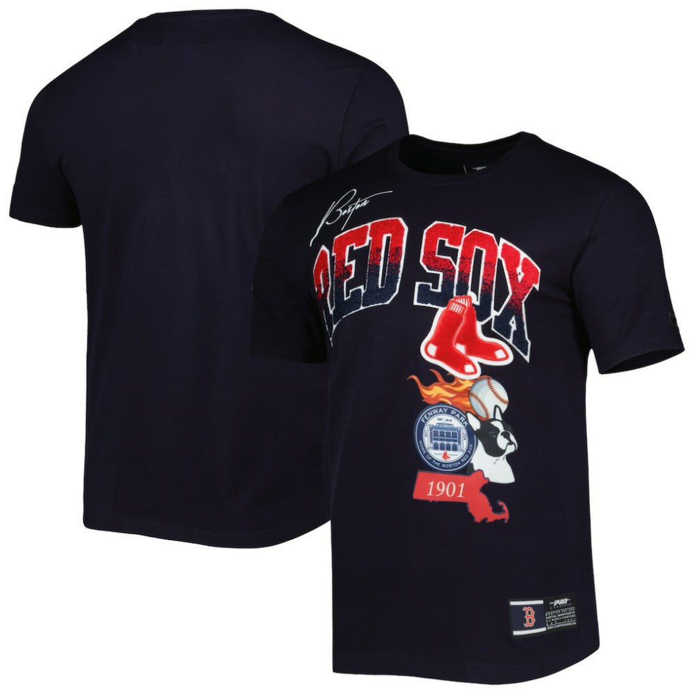 Boston Red Sox Pro Standard Hometown T-Shirt - Navy - MLB Online