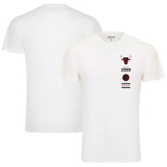 Chicago Bulls Sportiqe Unisex 1966 Collection City Flag Bingham T-Shirt White