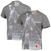Nate Robinson New York Knicks Above The Rim T-Shirt Gray | Mitchell & Ness for sale