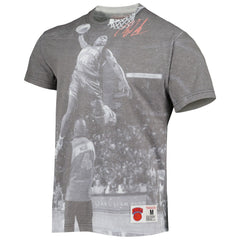 Nate Robinson New York Knicks Above The Rim T-Shirt Gray | Mitchell & Ness for sale