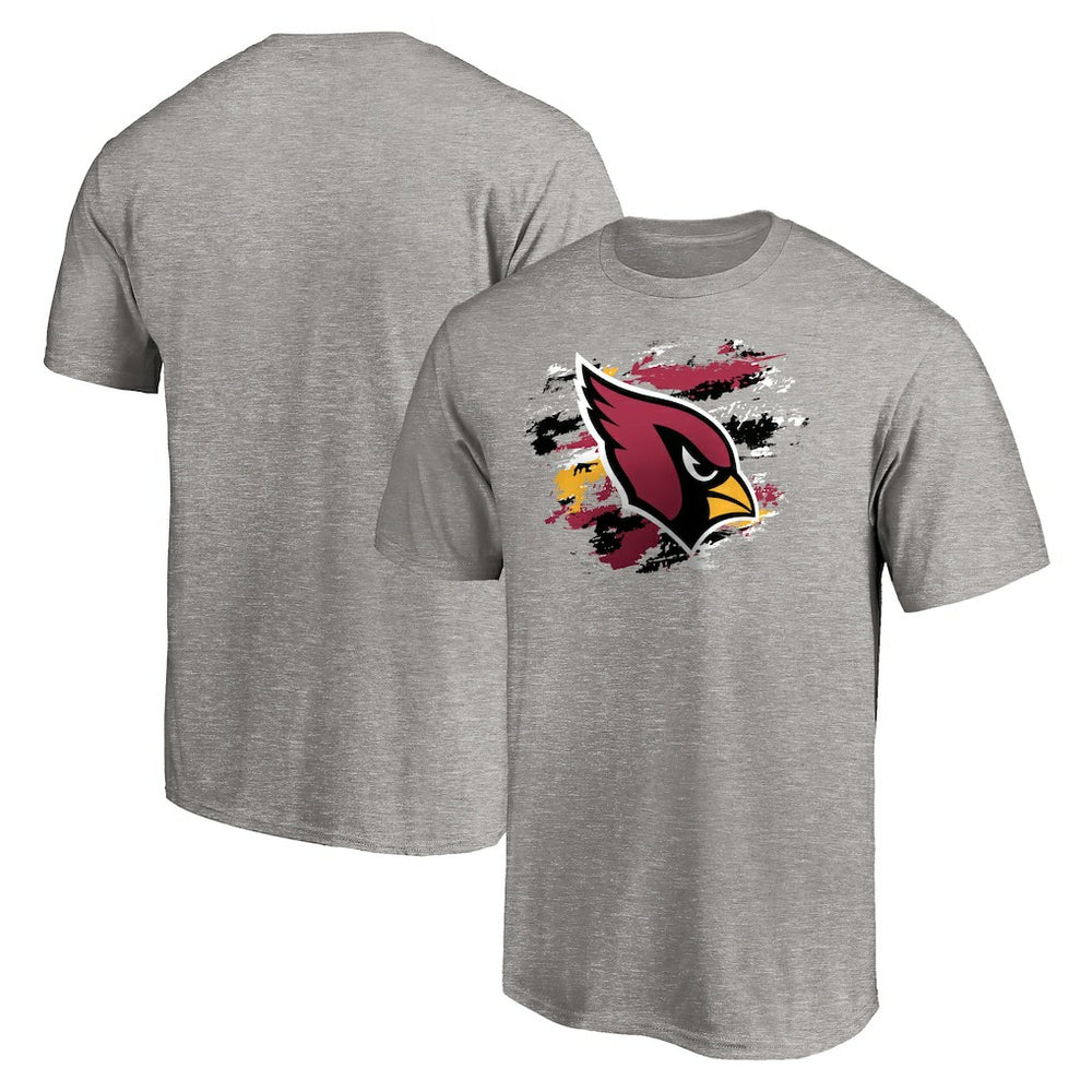 Arizona Cardinals True Color T-Shirt Heather Gray