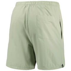 New York Giants Pro Standard Neutrals 2.0 Woven Shorts Light Green