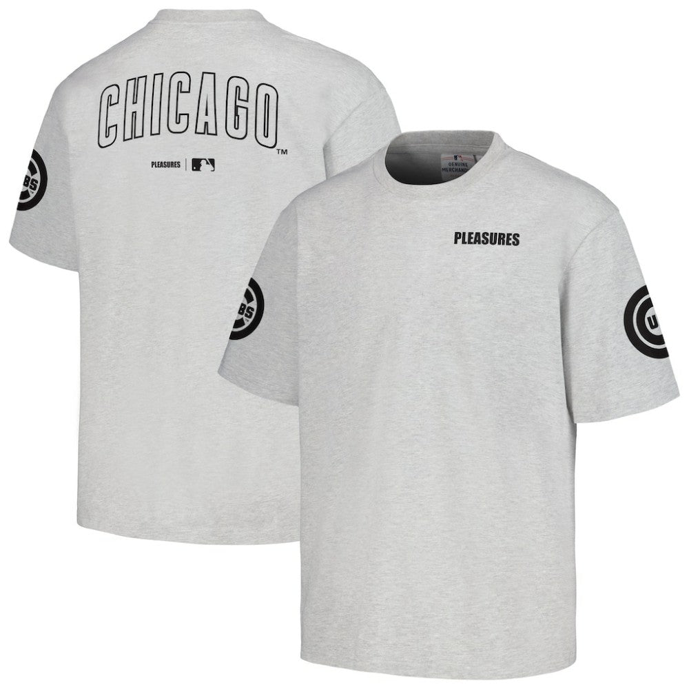 Chicago Cubs PLEASURES Team T-Shirt - Gray - MLB Discount