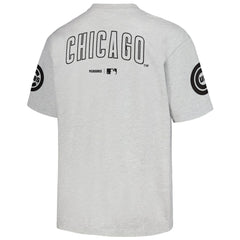 Chicago Cubs PLEASURES Team T-Shirt - Gray - MLB Discount