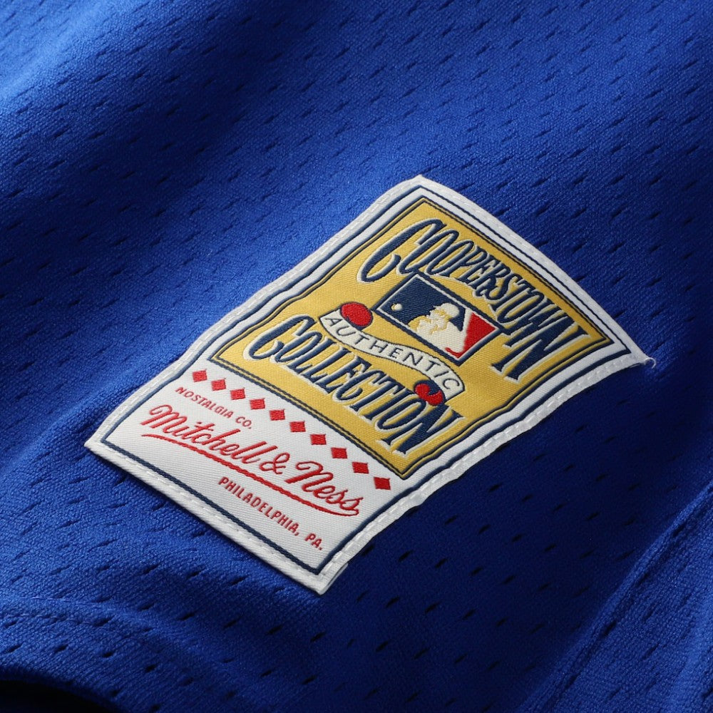 Joe Carter Toronto Blue Jays Mitchell & Ness Authentic Batting Practice Jersey - Royal - Mitchell & Ness Online