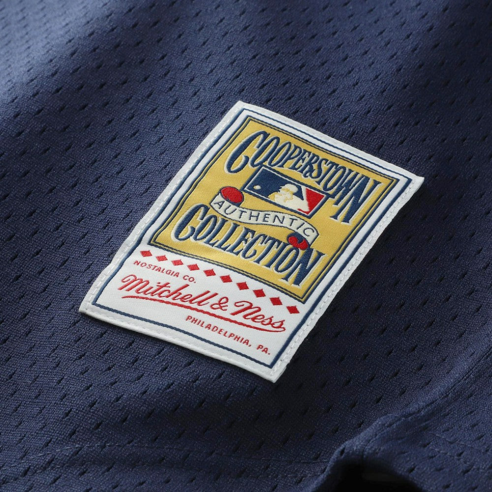 Kirby Puckett Minnesota Twins Mitchell & Ness Authentic Batting Practice Jersey - Navy - Mitchell & Ness on Sale
