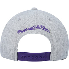 Toronto Raptors Hardwood Classics 2.0 Snapback Hat Heather Gray | Mitchell & Ness Near Me