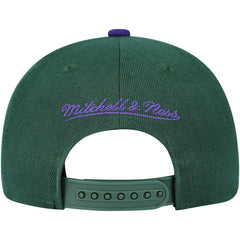 Milwaukee Bucks Youth Two-Tone Snapback Hat Hunter Green/Purple | Mitchell & Ness for sale