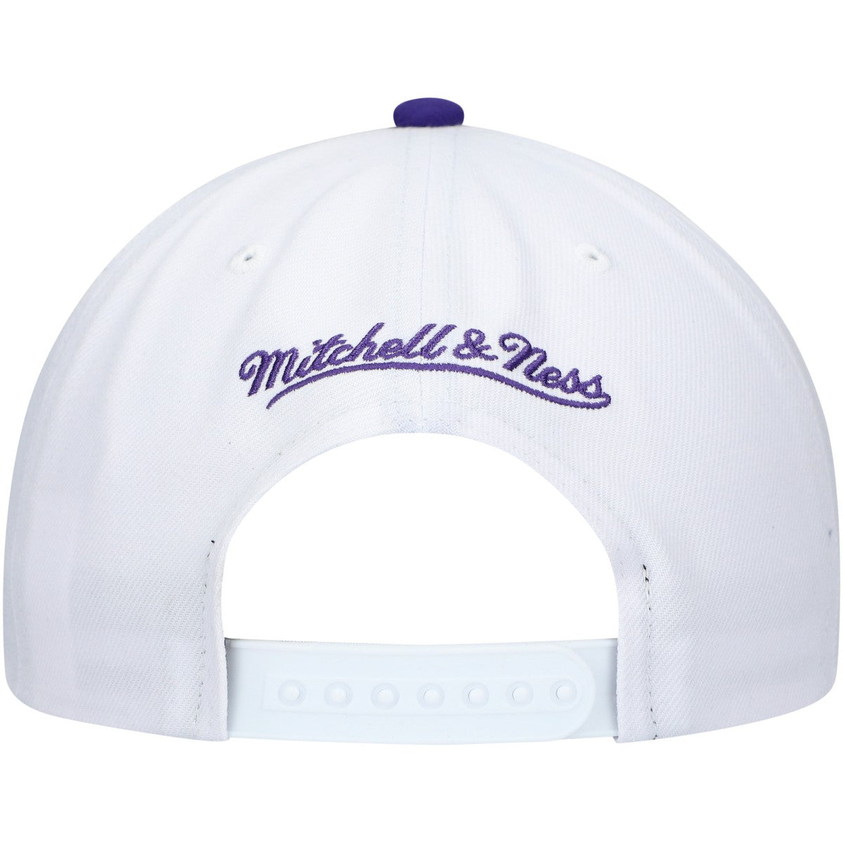 Milwaukee Bucks Hardwood Classics Core 2-Tone 2.0 Pro Snapback Hat White/Purple | Mitchell & Ness discount