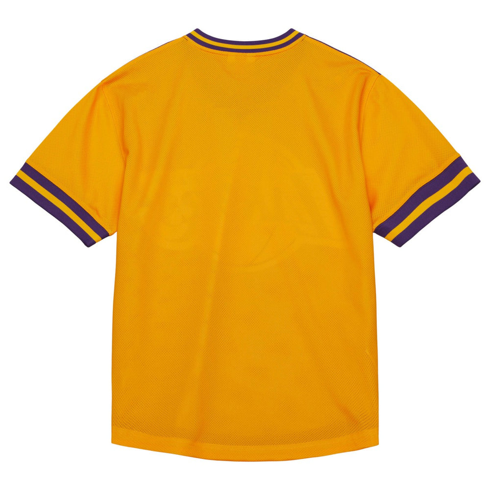 Los Angeles Lakers Jumbotron 3.0 Mesh V-Neck T-Shirt Purple | Mitchell & Ness online