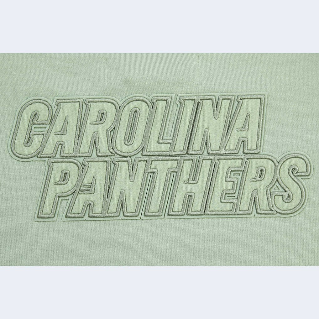 Carolina Panthers Pro Standard Women's Oversized Cropped Neutral Pullover Sweatshirt Light Green