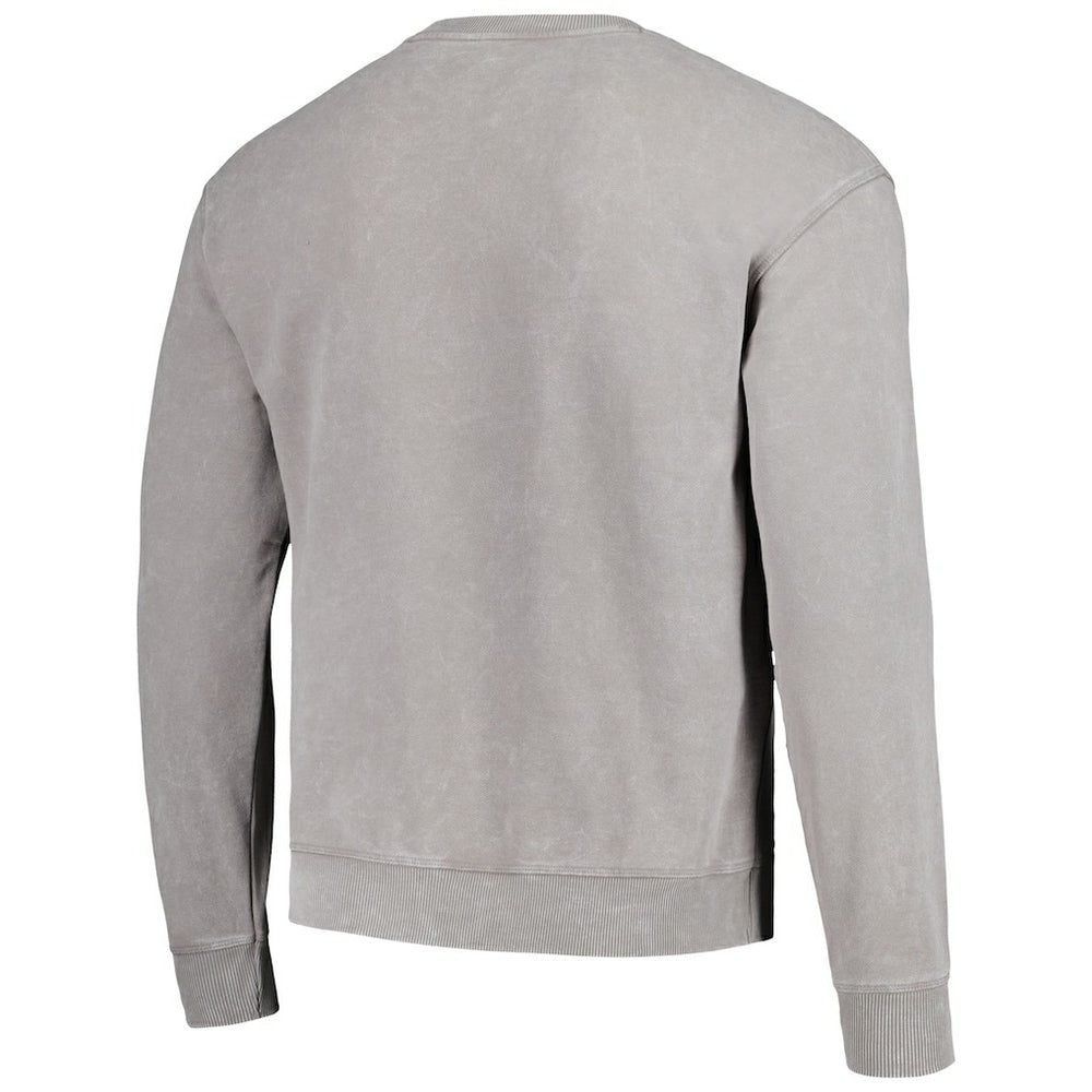 Carolina Panthers The Wild Collective Unisex Distressed Pullover Sweatshirt Gray