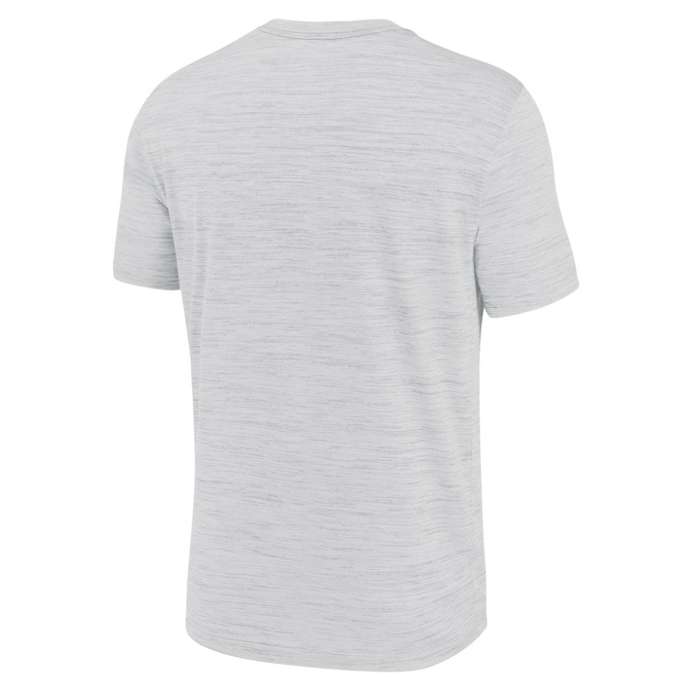 Tampa Bay Rays Nike Authentic Collection Velocity Performance Practice T-Shirt - Ash - Nike Lifestyle
