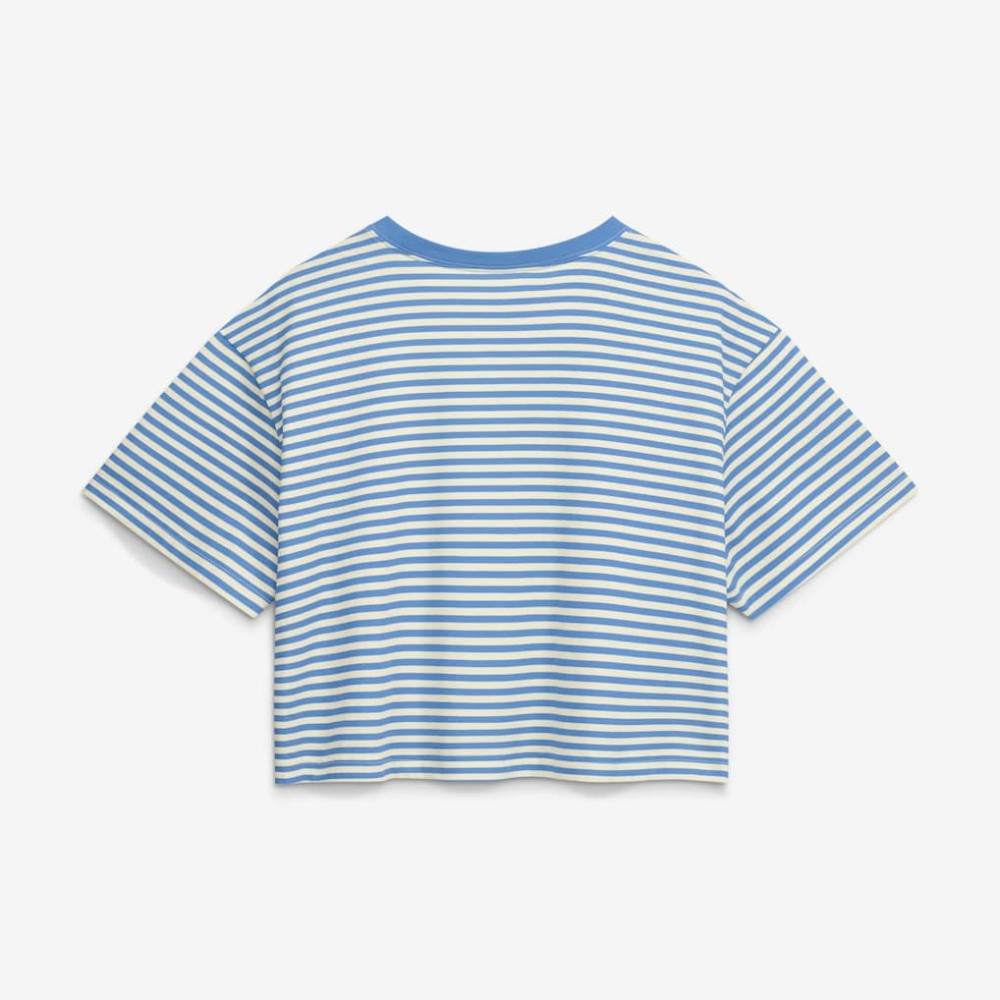 Philadelphia Phillies Nike Women's Cooperstown Collection Striped Cropped T-Shirt - Light Blue/Cream - Nike Lifestyle
