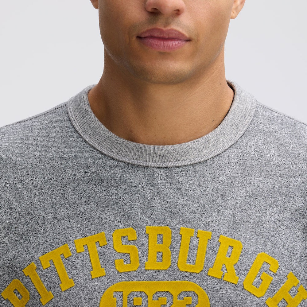 Fanatics Pittsburgh Steelers IconicFleece Short Sleeve Sweatshirt Athletic Heather Gray