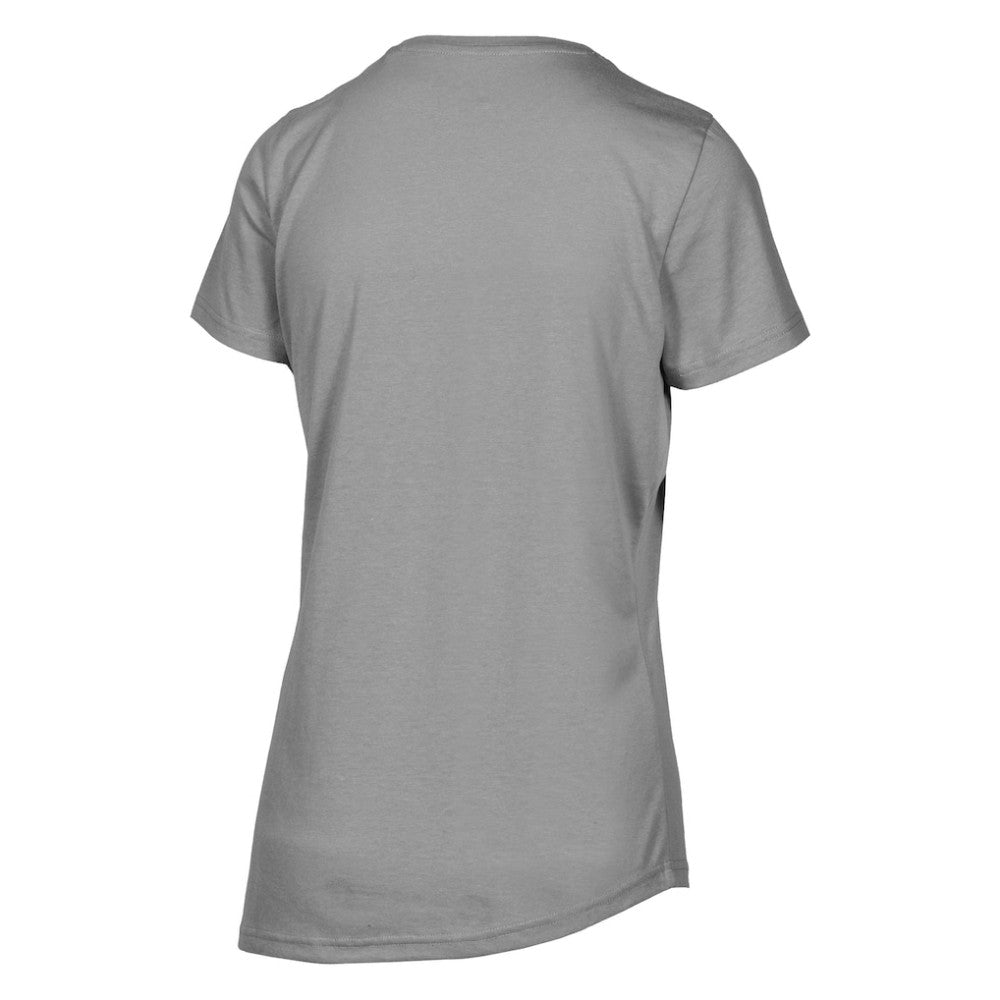 Arizona Diamondbacks Levelwear Women's Birch Chase T-Shirt - Heather Gray - MLB Sale