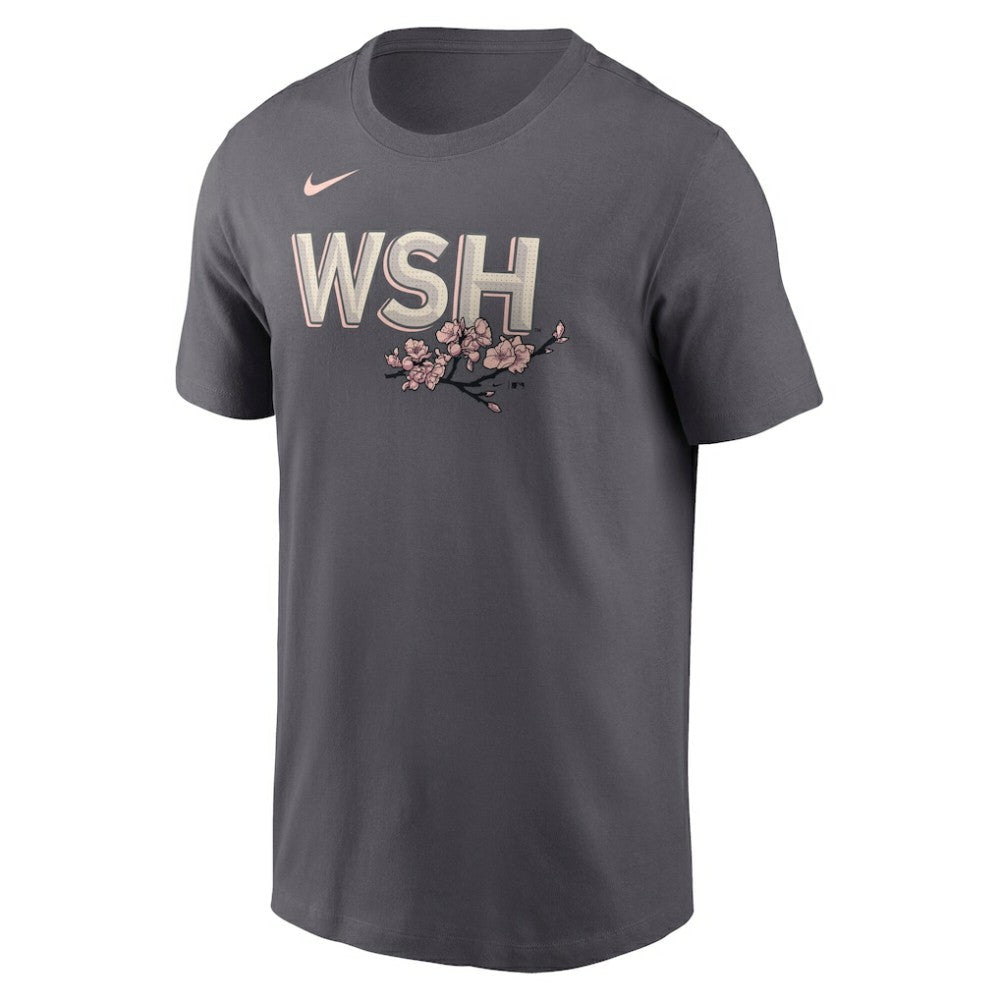 Keibert Ruiz Washington Nationals Nike City Connect Fuse Name & Number T-Shirt - Gray - Nike Sale