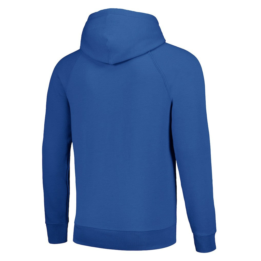 Dallas Cowboys Homage Unisex Hyperlocal Raglan Pullover Hoodie Royal