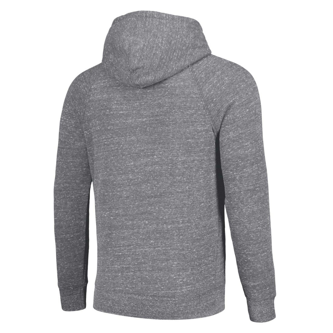 Detroit Lions Homage Unisex Hyperlocal Raglan Pullover Hoodie Gray