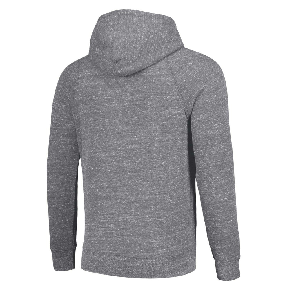 Detroit Lions Homage Unisex Hyperlocal Raglan Pullover Hoodie Gray
