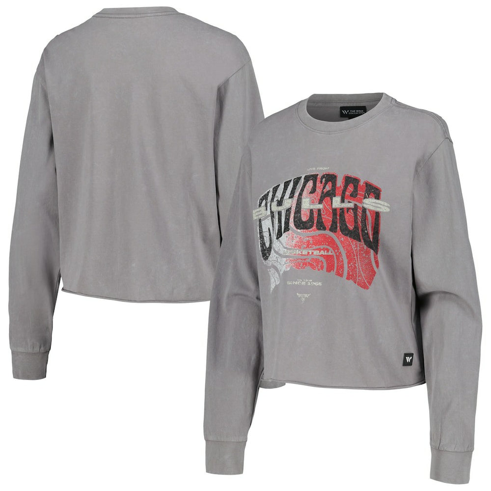 Chicago Bulls The Wild Collective Women's Band Cropped Long Sleeve T-Shirt Gray
