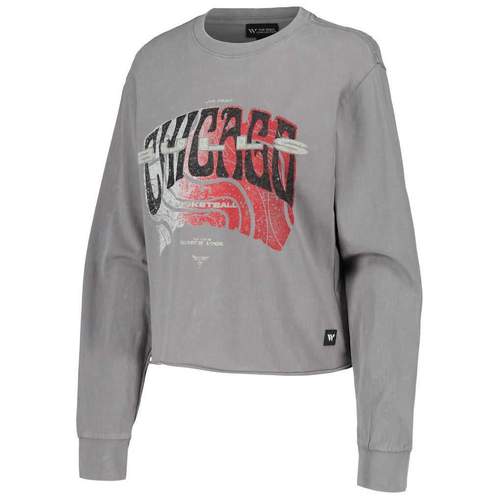 Chicago Bulls The Wild Collective Women's Band Cropped Long Sleeve T-Shirt Gray