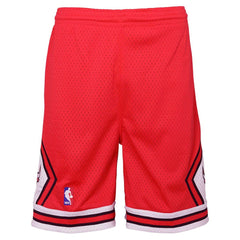 Chicago Bulls Youth Hardwood Classics Swingman Shorts Red | Mitchell & Ness US