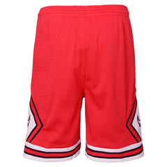 Chicago Bulls Youth Hardwood Classics Swingman Shorts Red | Mitchell & Ness US