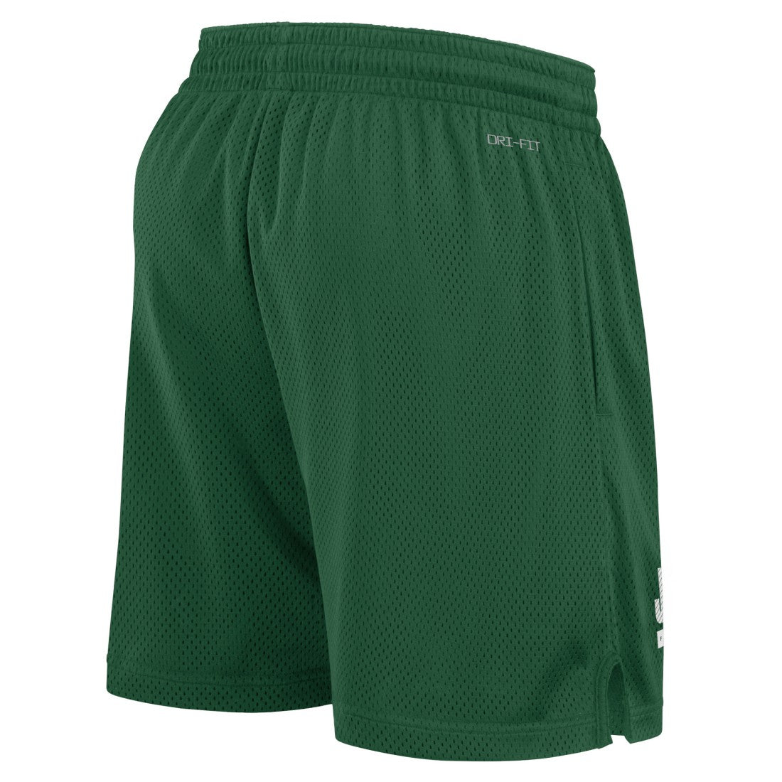 Nike New York Jets 2024 Sideline Performance Mesh Shorts Green