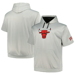 Chicago Bulls Big & Tall Logo Pullover Hoodie Silver | Fanatics Lifestyle