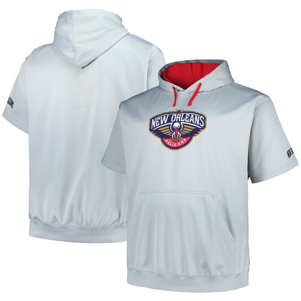 New Orleans Pelicans Big & Tall Logo Pullover Hoodie Silver | Fanatics Near Me