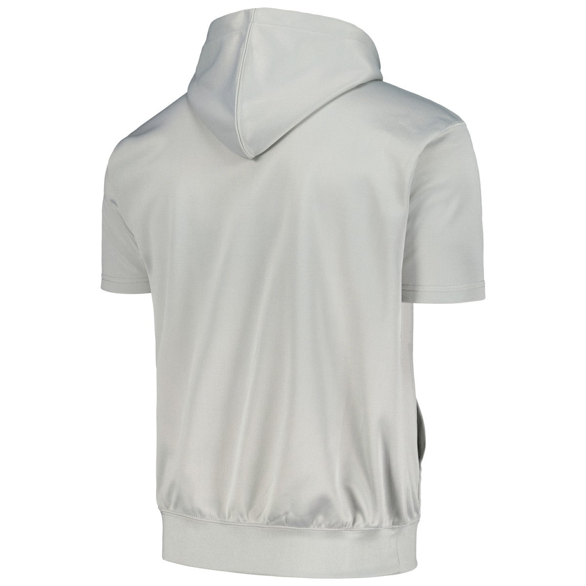 Phoenix Suns Big & Tall Logo Pullover Hoodie Silver | Fanatics online