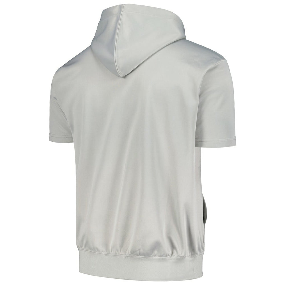 Golden State Warriors Big & Tall Logo Pullover Hoodie for sale Silver | Fanatics online